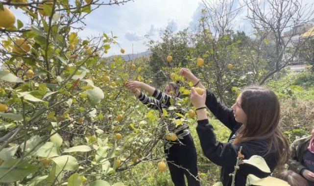 Küçükçekmece Belediyesi, Hatay'daki yerel üreticilerin ürünlerini satın alıyor