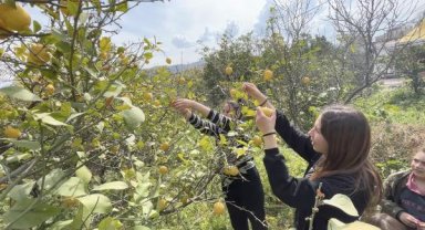 Küçükçekmece Belediyesi, Hatay'daki yerel üreticilerin ürünlerini satın alıyor