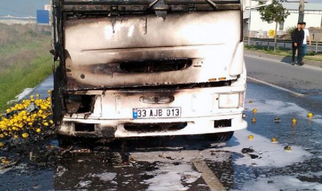 Limon yüklü kamyon seyir halindeyken alev aldı