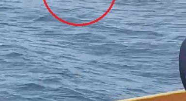 Marmara Denizi'nde feribottan atlayan yolcuyu Sahil Güvenlik ekibi kurtardı