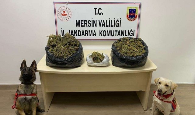 Mersin'de uyuşturucu operasyonu: 2 gözaltı