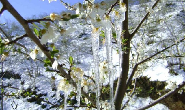 Meteorolojiden zirai don uyarısı