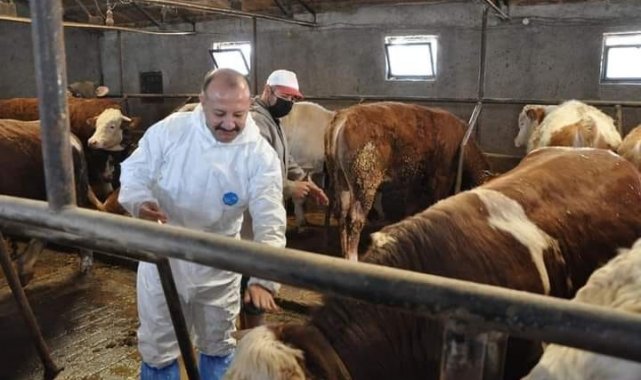 Müdür Özçalık, "Şap hastalığını önlemek için tüm yetiştiricilerimizin anlayış ve desteğini bekliyoruz"