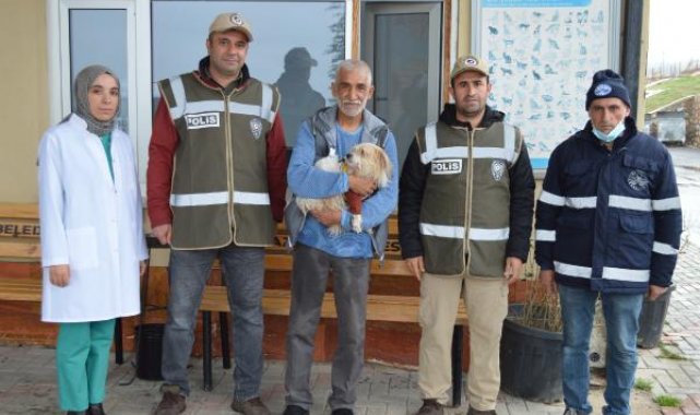 Muğla'da 1 yıl önce çalınan köpek, mikroçip sayesinde Elazığ'da bulundu