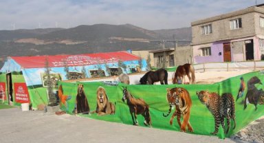 Nurdağı'nda sahipsiz hayvanlar, sahra hastanesinde tedavi ediliyor