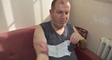 Okul bahçesinde sahipsiz köpeğin saldırdığı öğretmen ile öğrencisi yaralandı