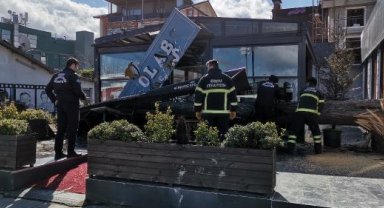 Ordu'da fırtınanın devirdiği ağaç, iş yeri ile otomobile zarar verdi