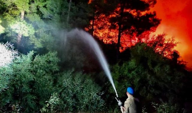 Orman yangını sezonu tüm yıla yayıldı