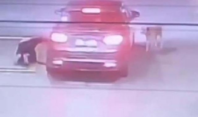 Otomobilin altında kalan köpeği kurtarma seferberliği