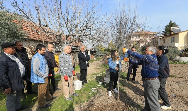 Pamukkale Belediyesinden budama ve aşılama kursu