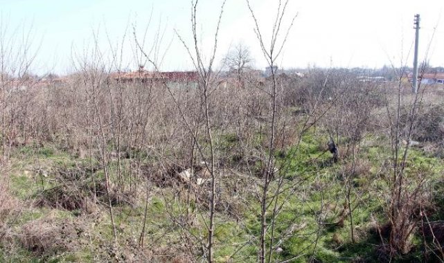 Prof. Dr. Beksaç: Edirne'deki Katolik mezarlığını defineciler tahrip etti