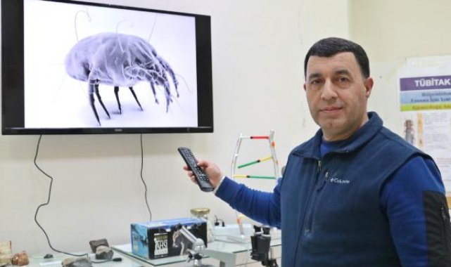 Prof. Dr. Satar: 'Mayt'lar, çocuklarda ciddi sağlık problemlerine yol açabilir