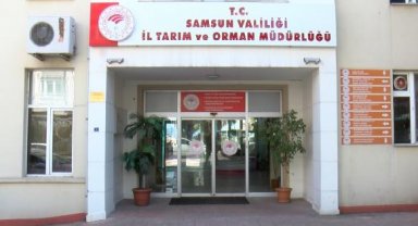 Samsun'da şap hastalığı tedbiri: Tüm hayvan pazarları kapatıldı