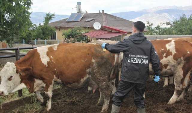 SAT-2 serotipi şap hastalığı korunma yöntemleri