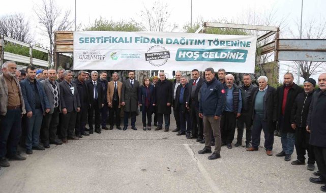 Şehitkamil, Yavuzeli ve Araban çiftçisine 50 bin fidan dağıtıldı