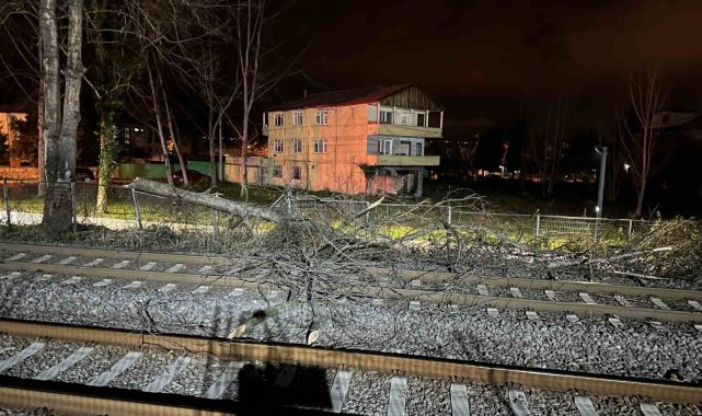 Şiddetli rüzgar demir yoluna ağaç devirdi, ulaşım aksadı