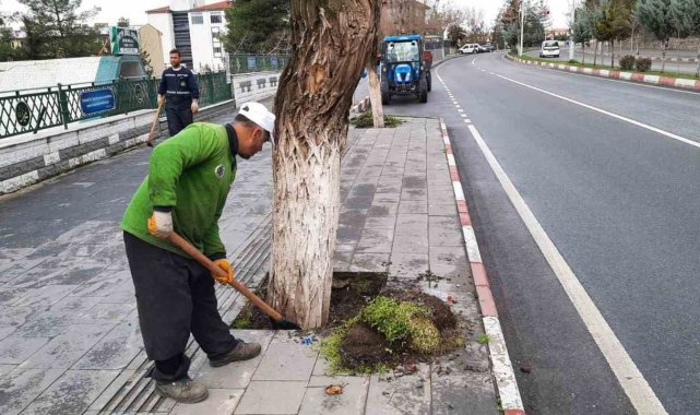 Siirt'te park ve bahçelerde temizlik ve bakım çalışmaları başlatıldı