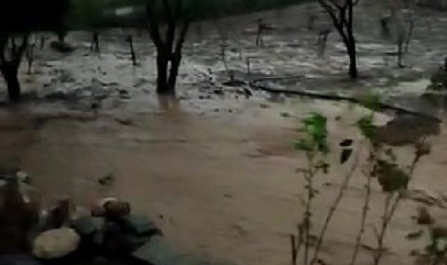 Siirt'te sağanak; bağ ve bahçeler suyla doldu