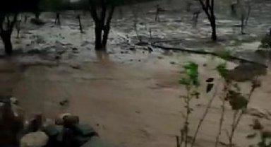 Siirt'te sağanak; bağ ve bahçeler suyla doldu