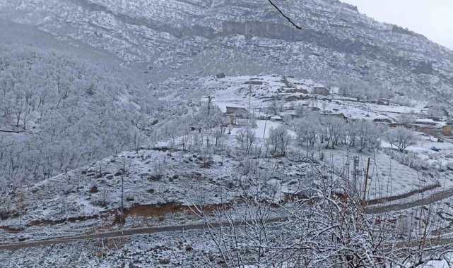 Şırnak beyaza büründü