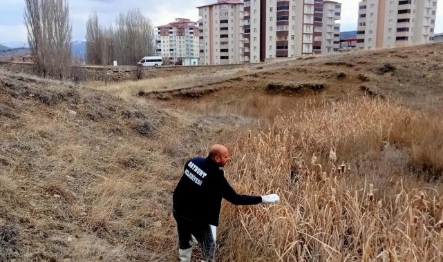Sivrisinek ve haşerelere karşı ilaçlama yapıldı