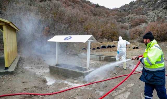 Sokak hayvanlarının beslenme noktaları dezenfekte ediliyor