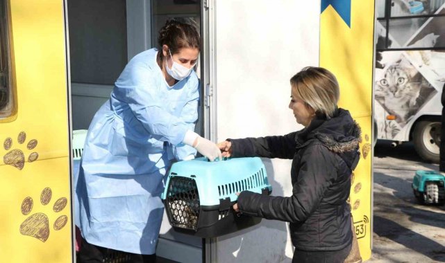 Sokak kedilerine kısırlaştırma karavanı