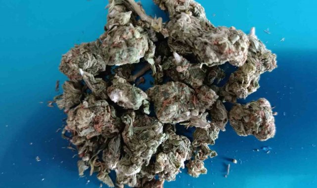 Söke'de uyuşturucu operasyonu