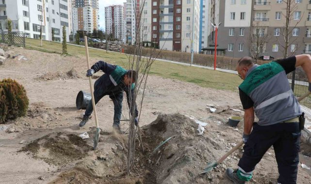 Talas'ta ağaçlandırma sezonu açıldı