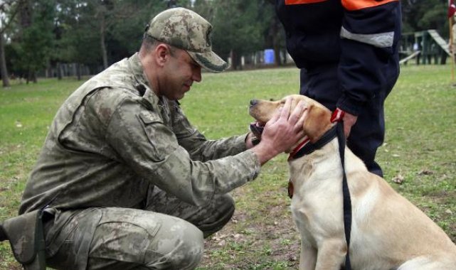 TSK'nın arama köpekleri 78 kişiyi kurtardı; 'sessiz kahramanlar' madalya ile ödüllendirildi