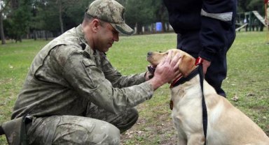 TSK'nın arama köpekleri 78 kişiyi kurtardı; 'sessiz kahramanlar' madalya ile ödüllendirildi