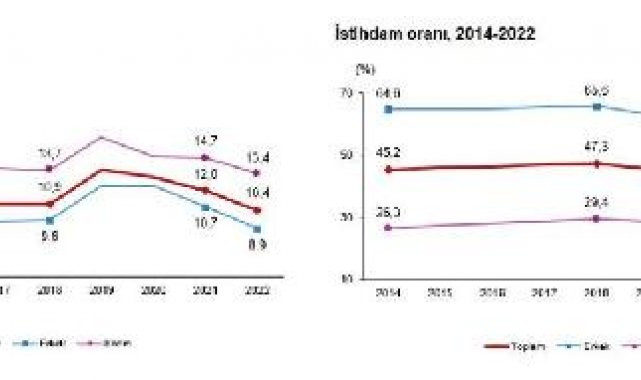 TÜİK: 2022 yılı işsizlik oranı yüzde 10,4