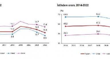 TÜİK: 2022 yılı işsizlik oranı yüzde 10,4
