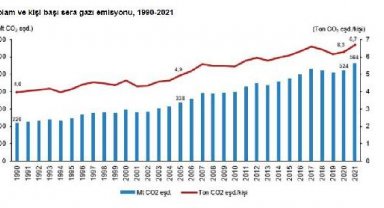 TÜİK: Toplam sera gazı emisyonu 2021'de yüzde 7,7 arttı