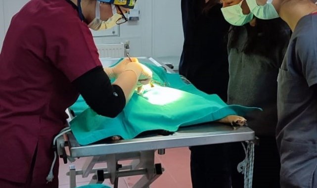 Veteriner fakültesi öğrencilerine uygulamalı eğitim