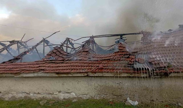 Yangında 300'e yakın saman balyası yandı