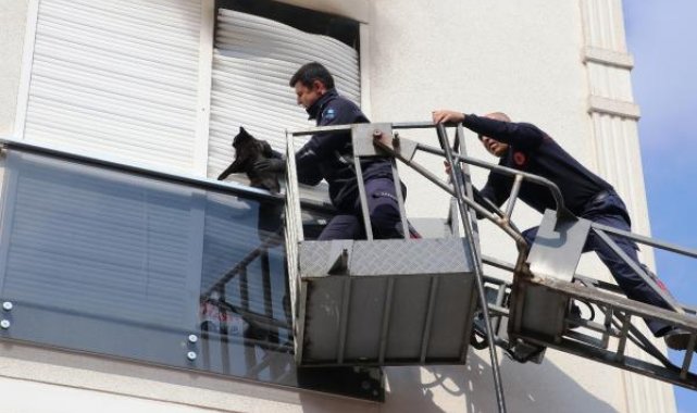 Yangında panjur ile balkon camı arasına sıkışan kedi kurtarıldı
