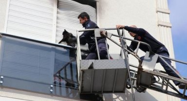 Yangında panjur ile balkon camı arasına sıkışan kedi kurtarıldı