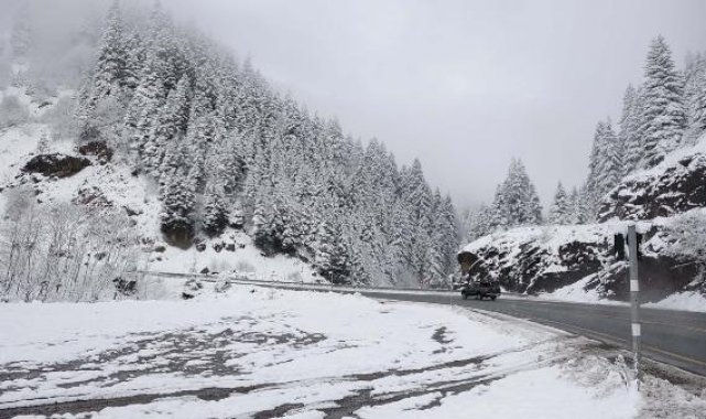 Zigana Dağı'nda kar güzelliği