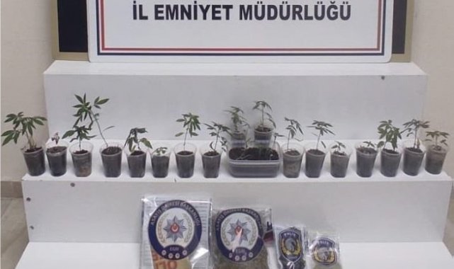 Zonguldak'ta uyuşturucu operasyonu: 1 gözaltı