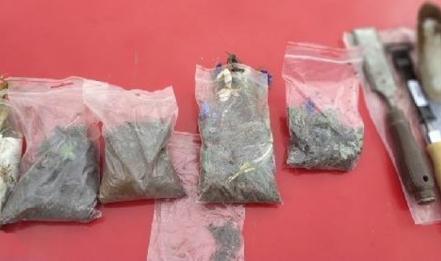 2 Slovakyalıya, biyoçeşitliliğe zarar vermekten 488 bin TL ceza