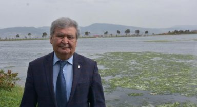 'İzmir Körfezi'nde son 1 yıldır deniz marulları hiç yok olmadı'