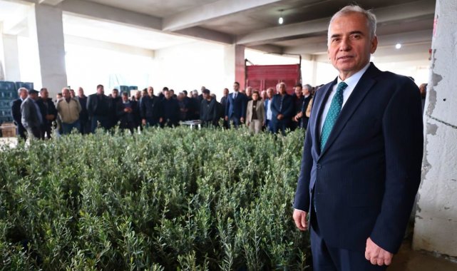 40 bin zeytin fidanı atıl tarım arazileriyle buluşacak