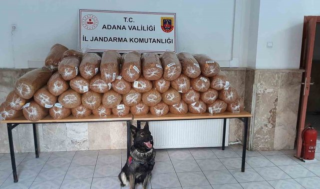 Adana'da 925 kilogram kaçak tütün ele geçirildi