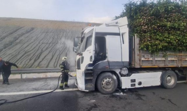 Ağaç yüklü TIR'ın motorunda yangın çıktı