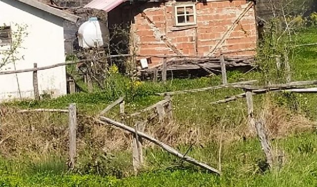 Ahşap evde yangın: 1 ölü, 1 yaralı