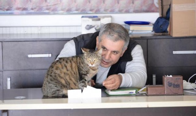 Ailesiyle sokak kedisini sahiplendi, doğumu komşu dükkanda olacak