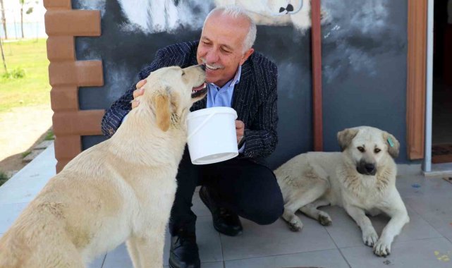 Akdeniz'de can dostlara özel etkinlik