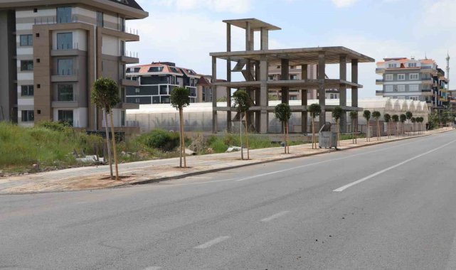 Alanya Belediyesinin sezon öncesi peyzaj çalışmaları