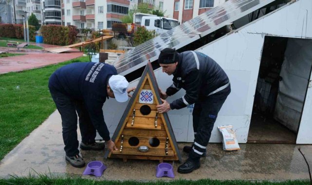 Altıeylül'de sokak hayvanları unutulmadı